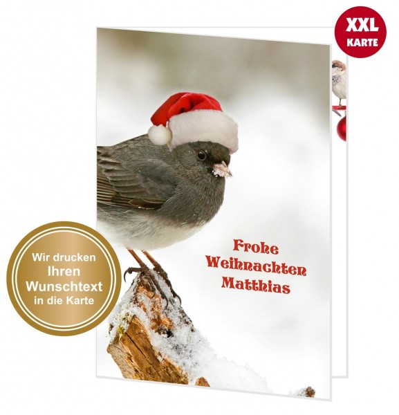 Xxl Weihnachtskarte Süßer Weihnachtsvogel